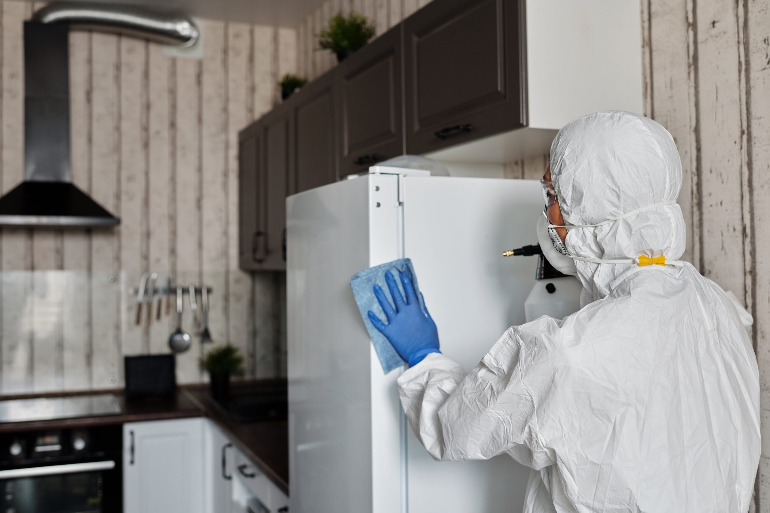 general kitchen cleaning